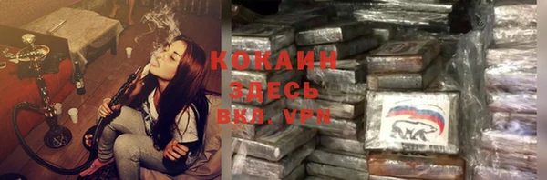 молекула духа Горнозаводск