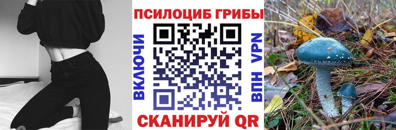 Купить закладки  Озёры  Псилоцибиновые грибы Psilocybe 